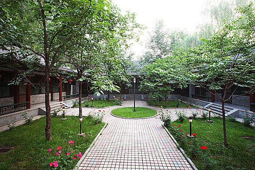 rong bạch kim 888