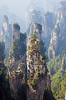 thong ke rong bach kim