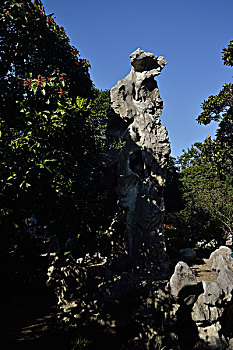 xs đong nai