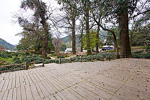 du doan xo so phu yen wap
