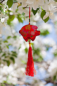 thong ke kqxsmn