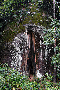 xổ số hồ chí minh